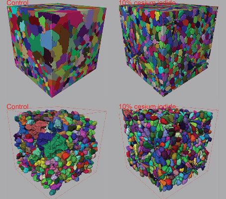 Contrast-enhanced 3D micro-CT of plant tissues using different impregnation techniques