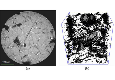 XCT analysis of fiber reinforced CBPC composites sample