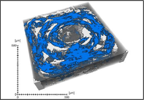 CF-ROI-three-phase-model-3D-printed-carbon-fibre-composites