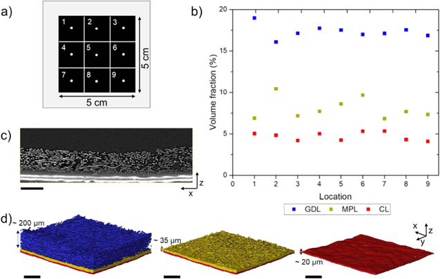 Visualisation and data processing with software Avizo