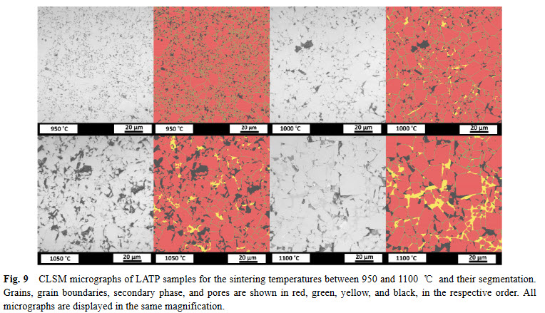 CLSM micrographs of LATP samples for the sintering temperatures between 950 and 1100 °C and their segmentation. Grains, grain boundaries, secondary phase, and pores are shown in red, green, yellow, and black, in the respective order. All micrographs are displayed in the same magnification