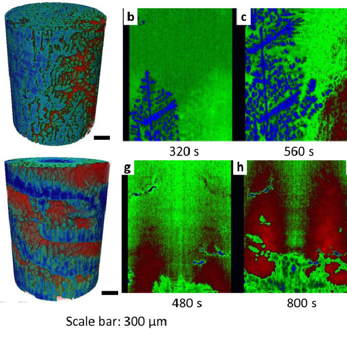 Revealing the mechanisms by which magneto-hydrodynamics disrupts solidification microstructures