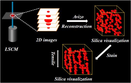 Polymer Filler Network Analysis