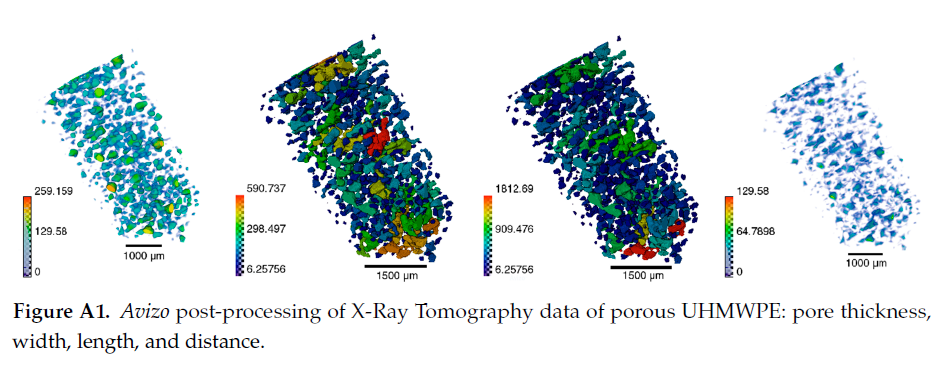 Avizo-post-processing-of-polymer