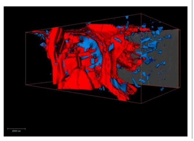 3D-distribution-and-shape-of-the-Al-Si-Mg-Cu-and-Al-(Fe-Mn-Cu)-Si