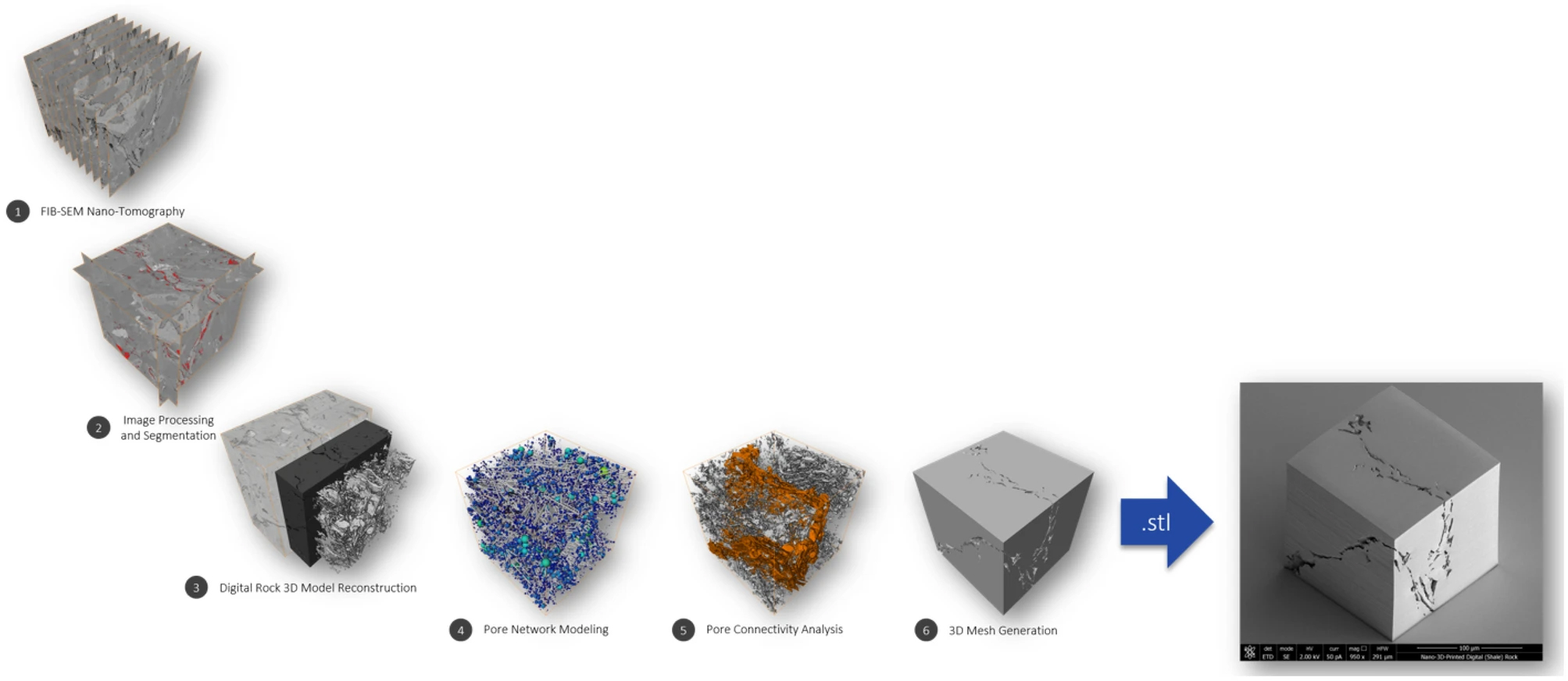 pore-network-3D-model-reconstruction-workflow