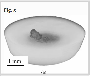 steel-coalesced-inclusion