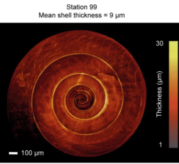 4-14-2021 10-47-52 AM
