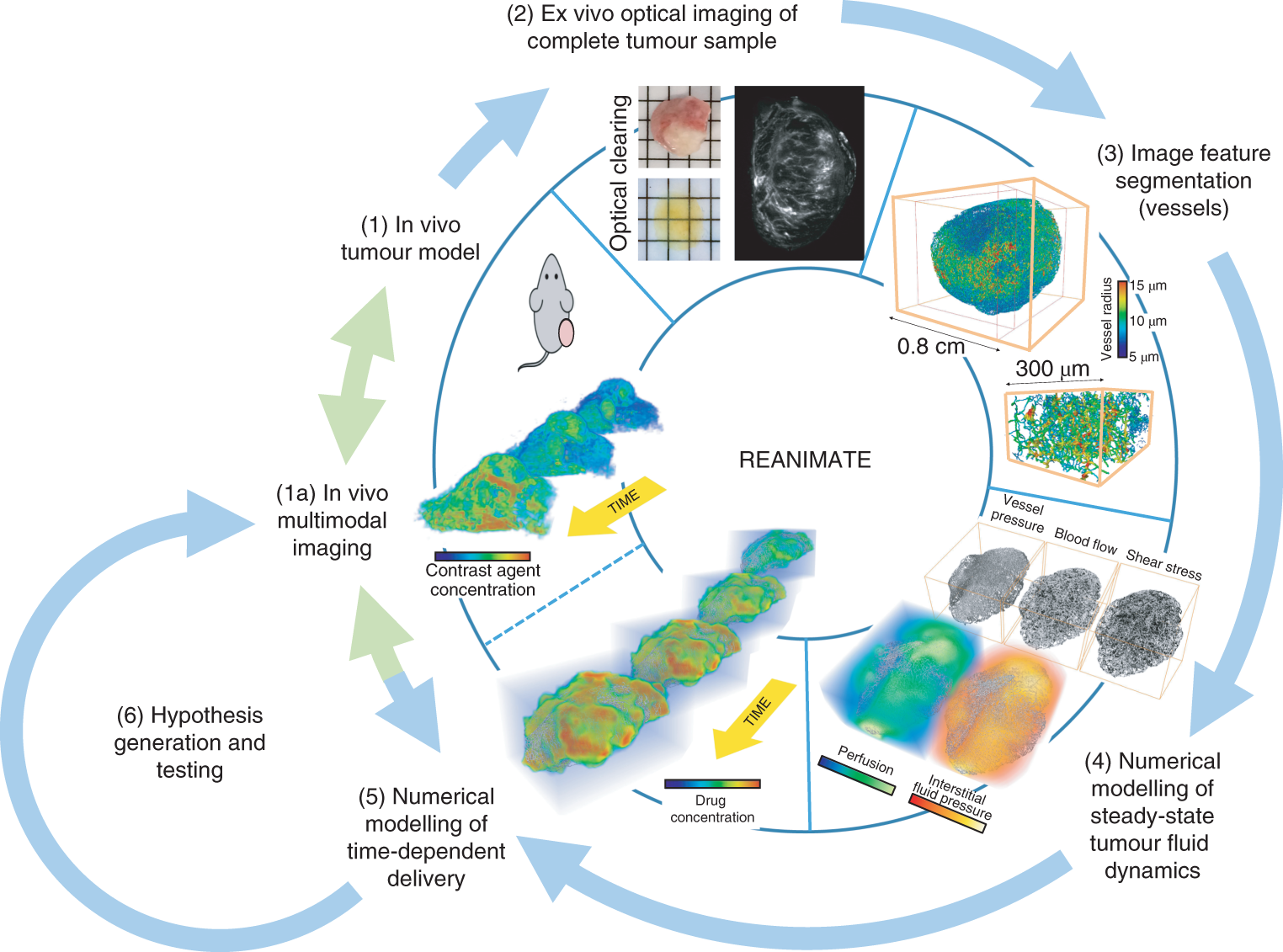 41551_2018_306_Fig1_HTML