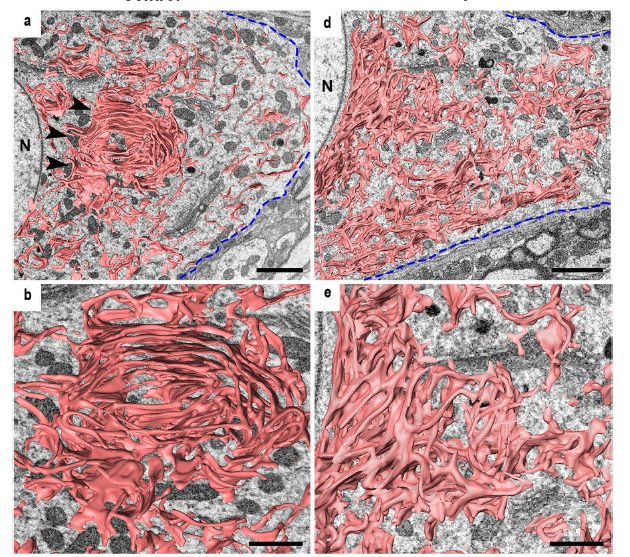 Screenshot 2024-09-06 141211