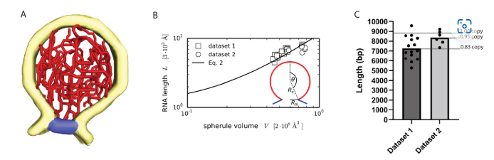 Screenshot 2025-05-30 111106