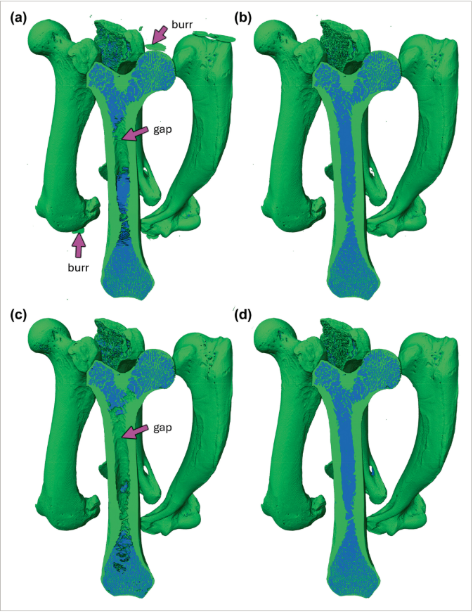 Screenshot 2025-05-30 114230