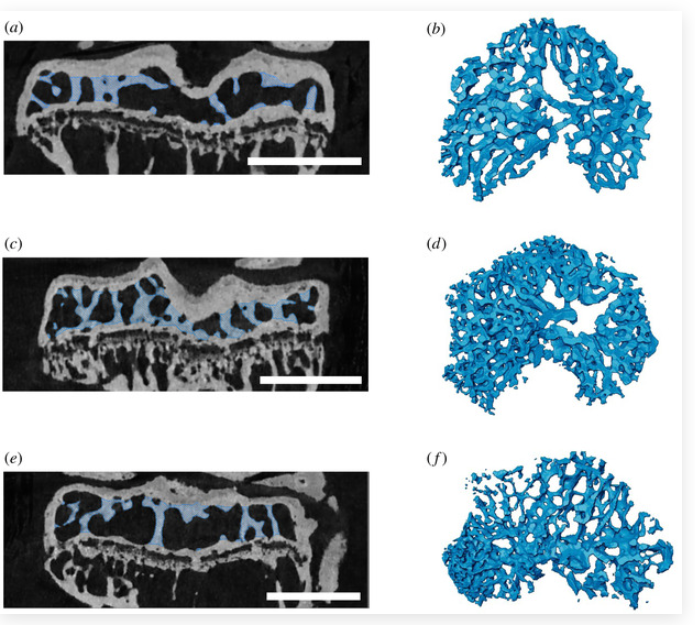 Screenshot 2025-05-30 121229