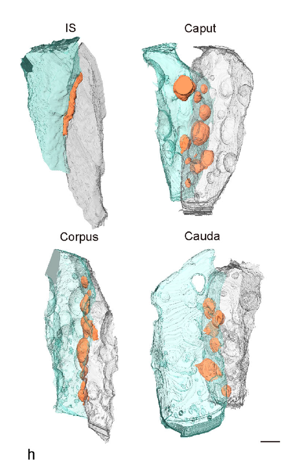 Screenshot 2025-05-30 122619